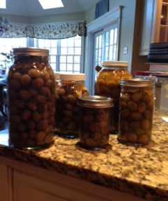 What the heck am I going to do with all these olives?